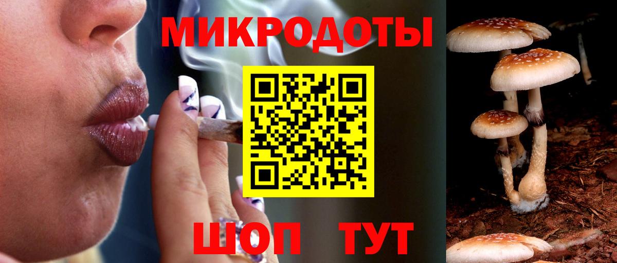 Псилоцибиновые грибы GOLDEN TEACHER  Вход с VPN  Галлюциногенные грибы Psilocybine cubensis  Красный Сулин 